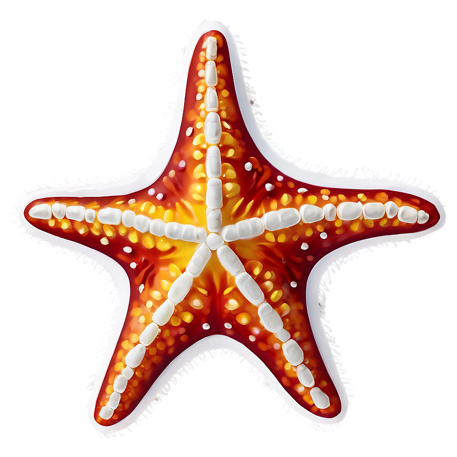 Summer Vibes Starfish Png 54