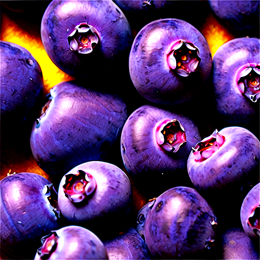 Sun-kissed Blueberries Png 22