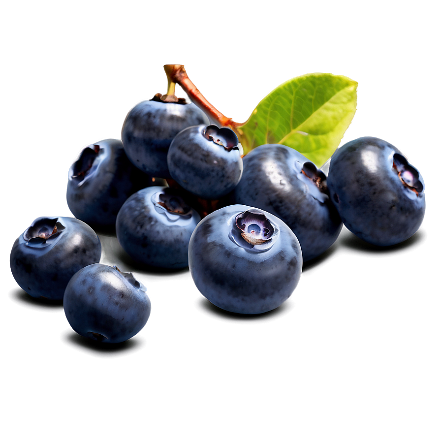 Sun-kissed Blueberries Png 63