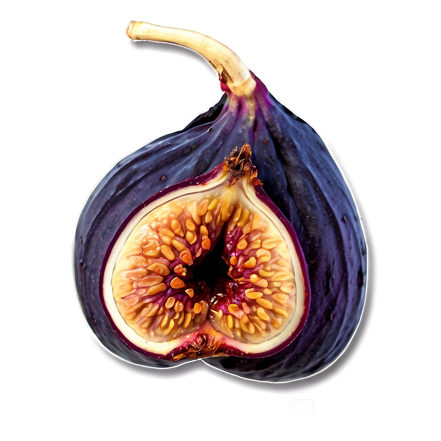 Sundried Fig Pack Png 10