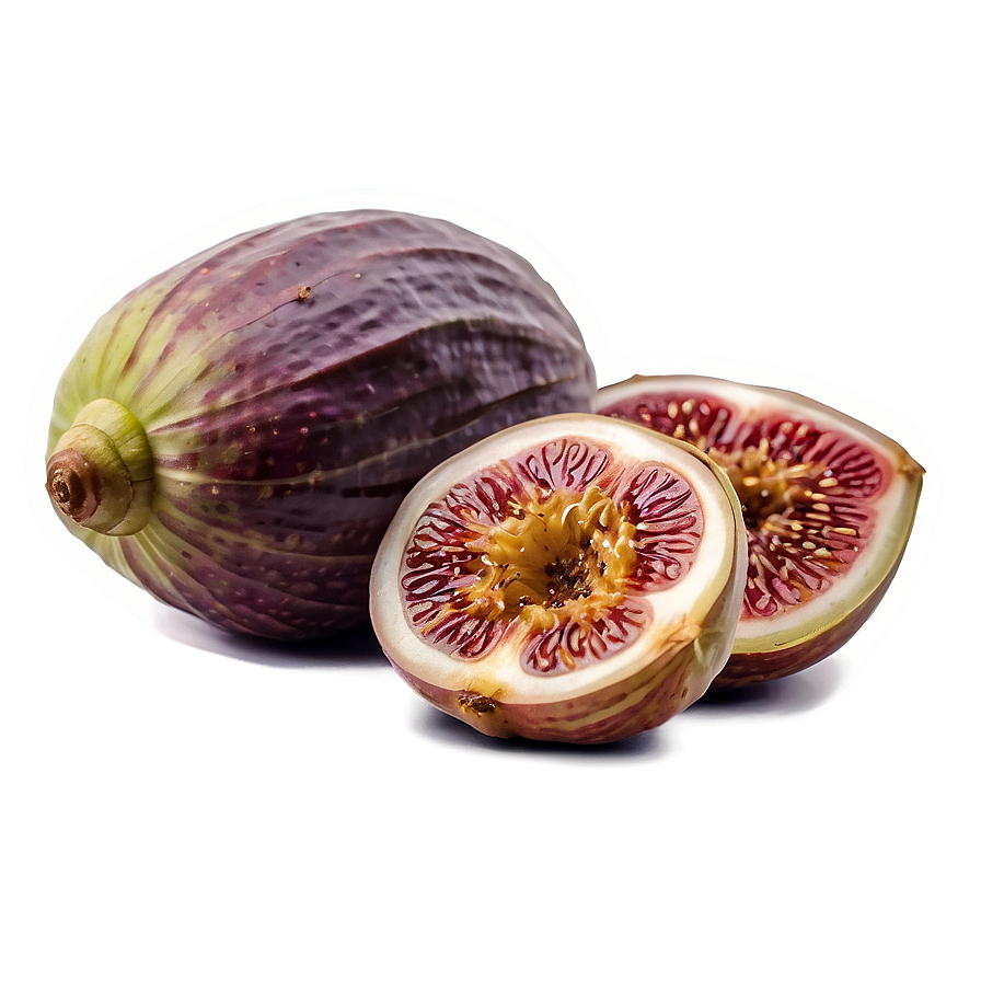 Sundried Fig Pack Png Liy57