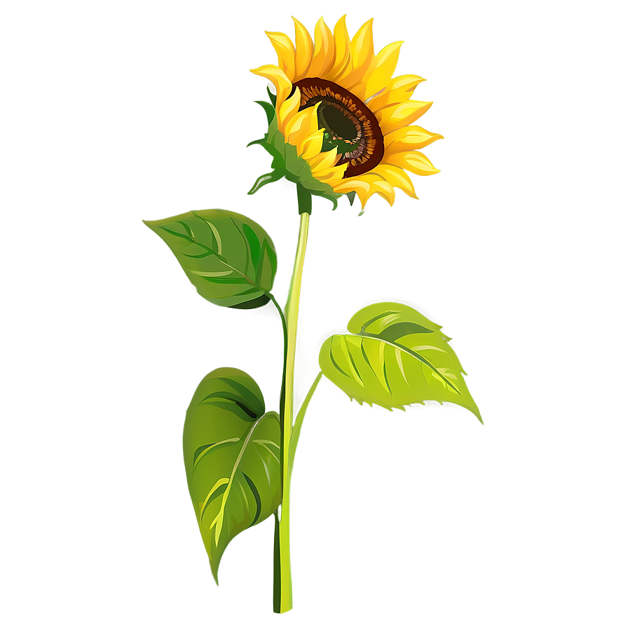 Sunflower Art Transparent Png 84