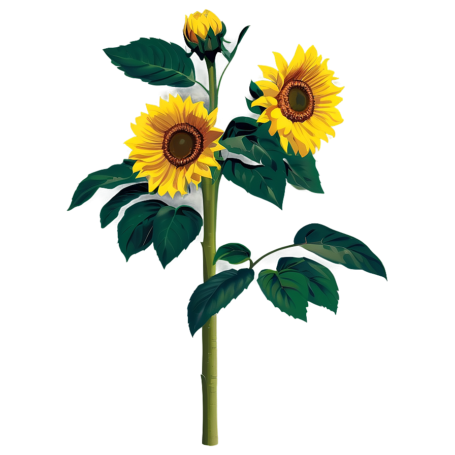 Sunflower Bush Png Pke20