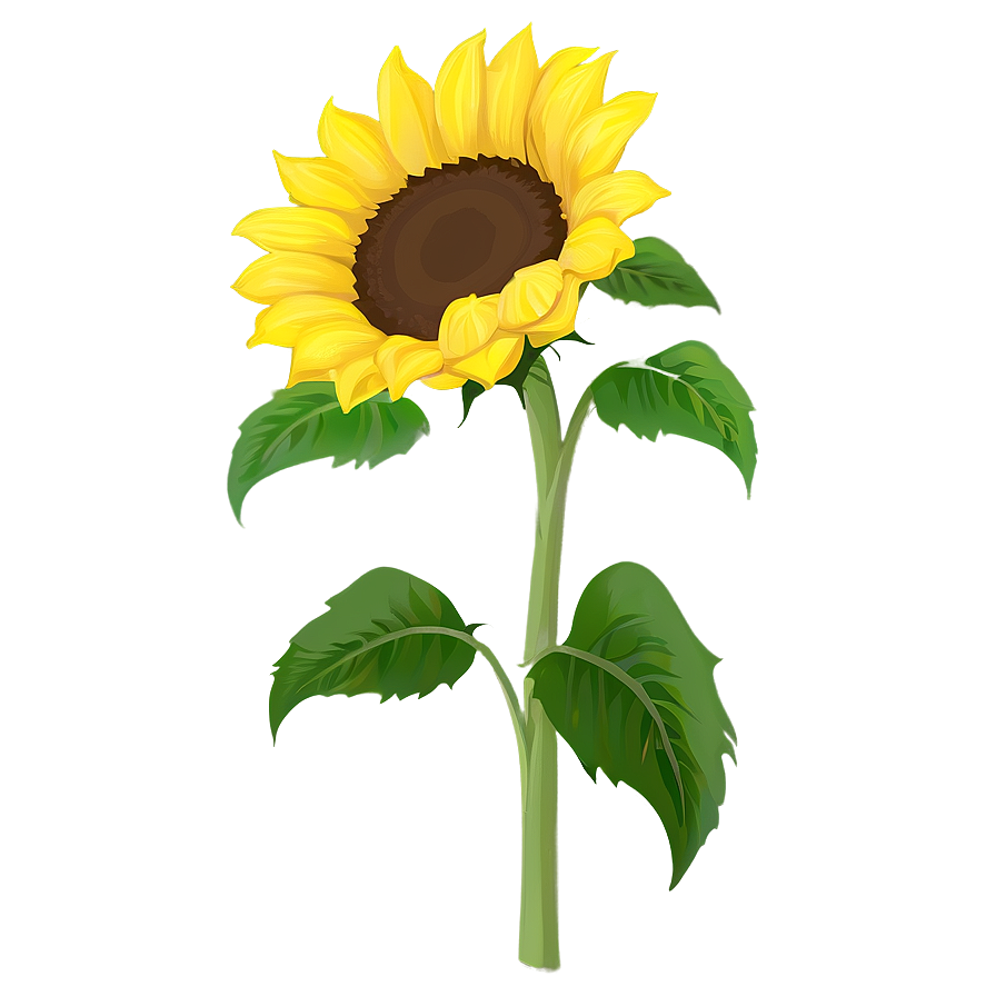 Sunflower Clipart Png Not1