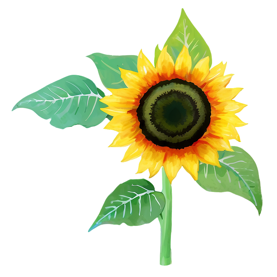 Sunflower In Watercolor Style Png Dpd