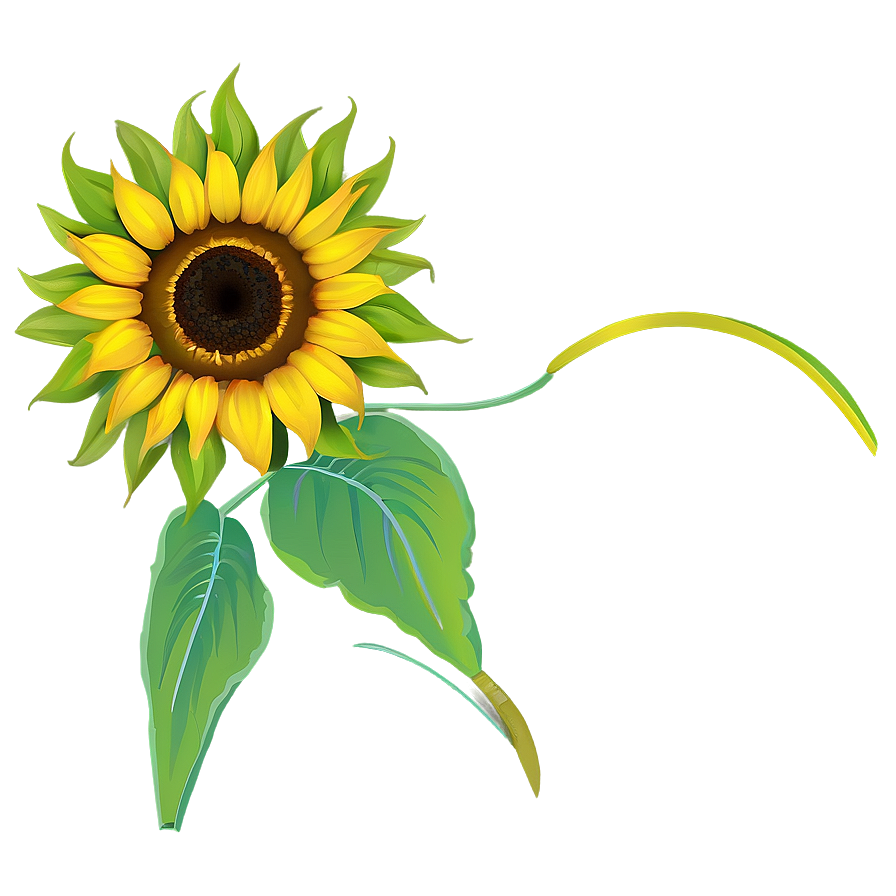 Sunflower Outline Art Png 19