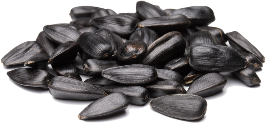 Sunflower Seeds Pile Isolated.png