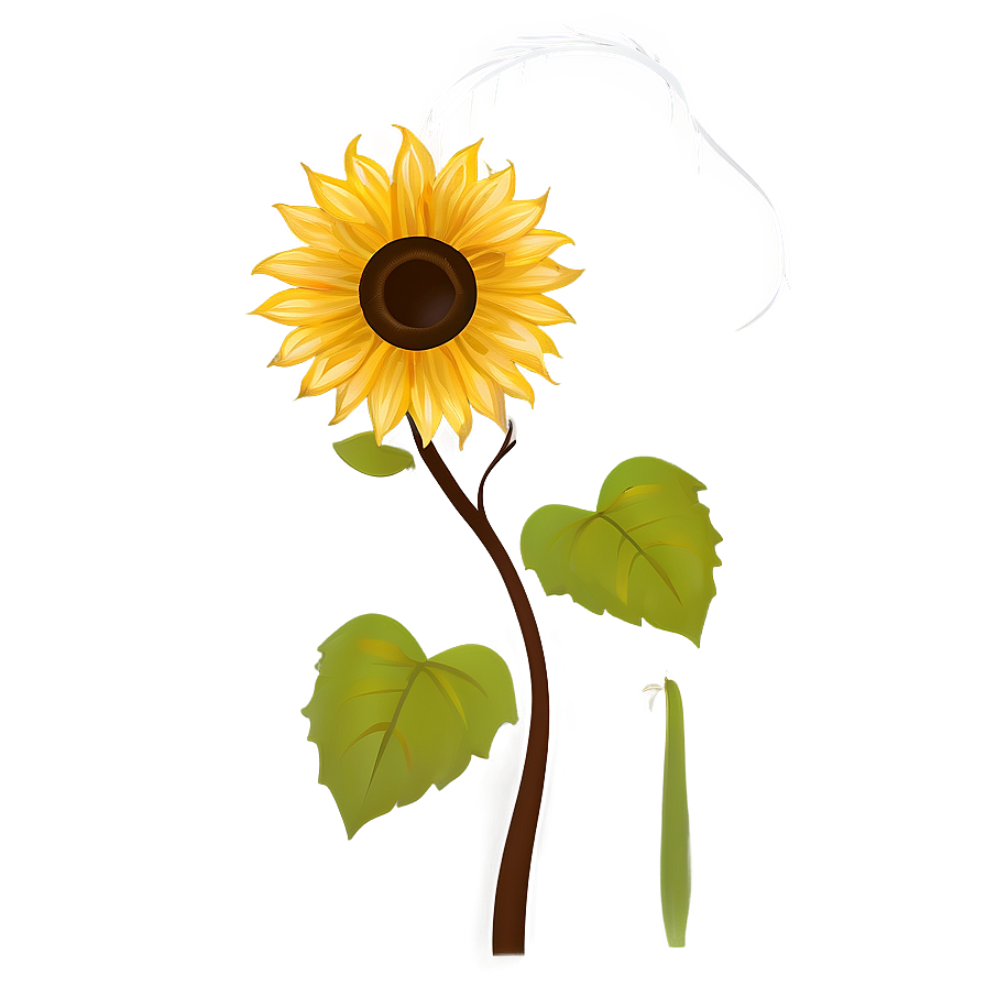 Sunflower Silhouette Transparent Png Ffs40