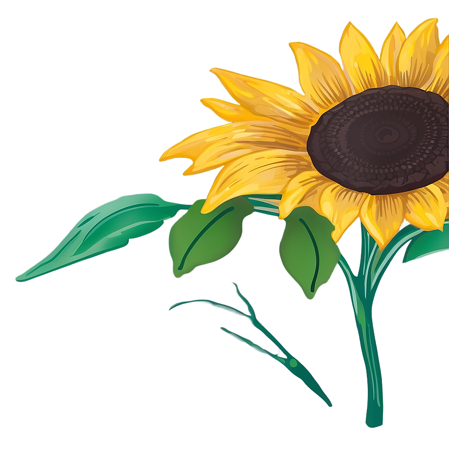 Sunflower Sketch Png 94