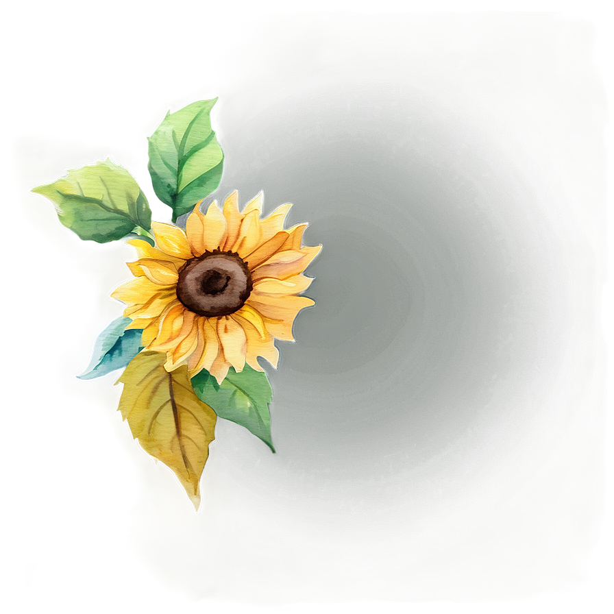 Sunflower Watercolor Phone Wallpaper Png Bcm