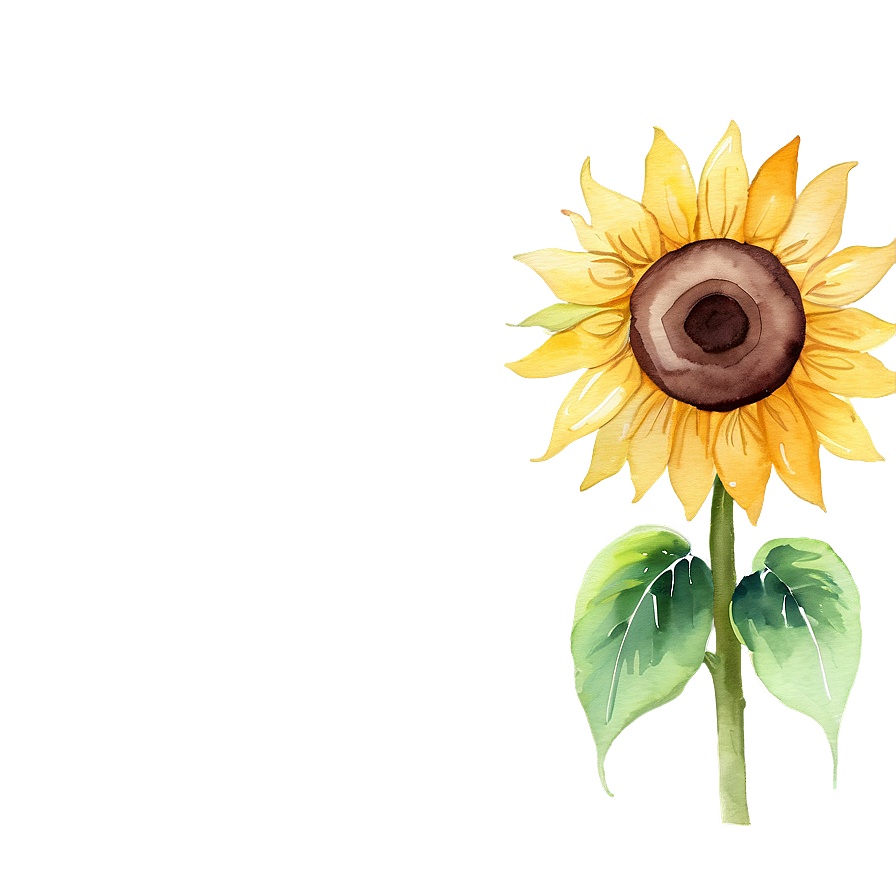 Sunflower Watercolor Phone Wallpaper Png Xht