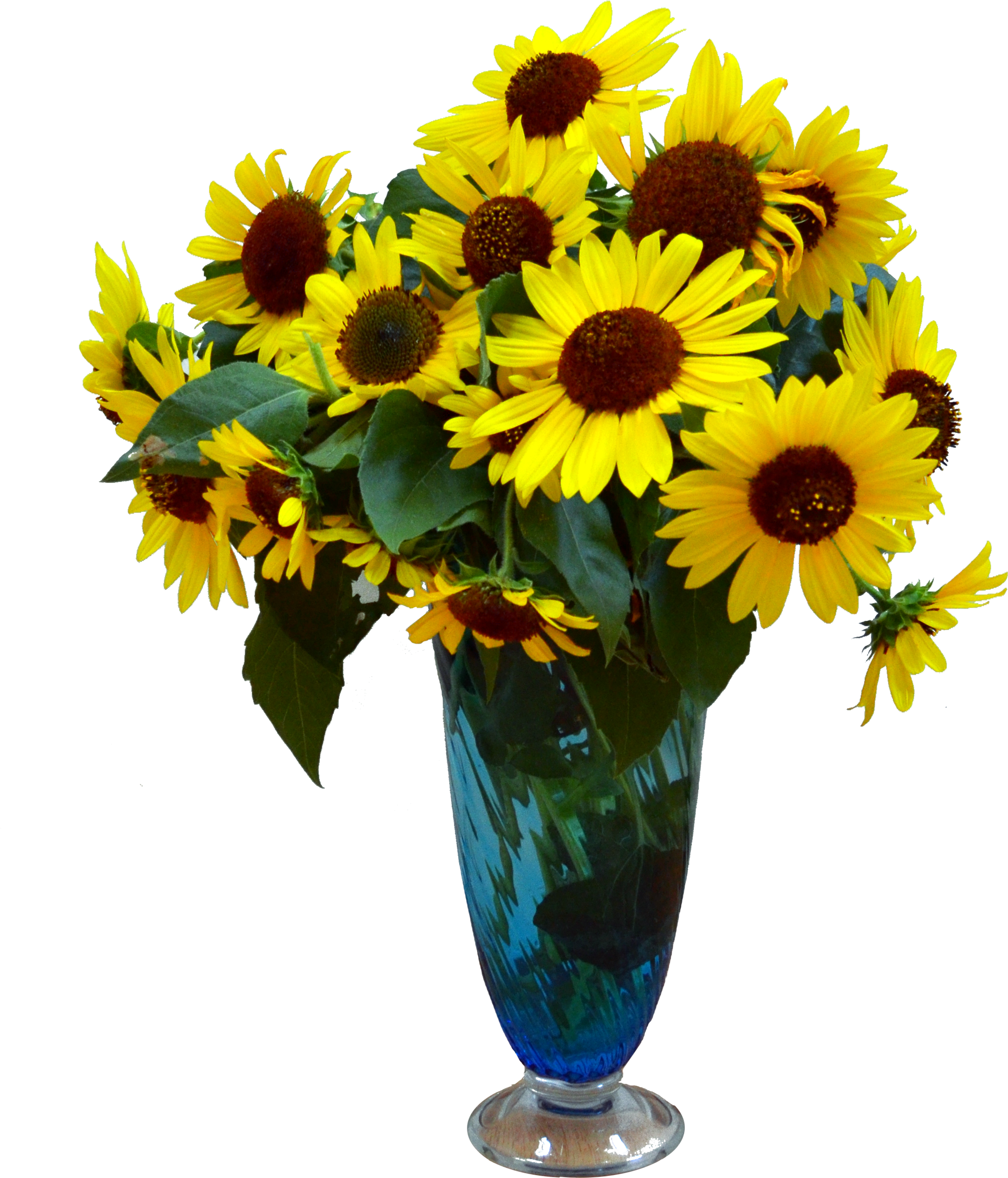 Sunflowersin Blue Vase