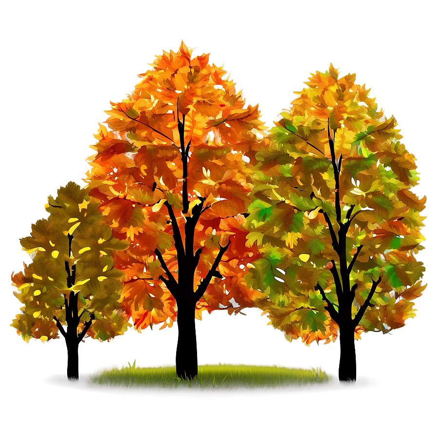 Sunlight Through Fall Trees Png 77