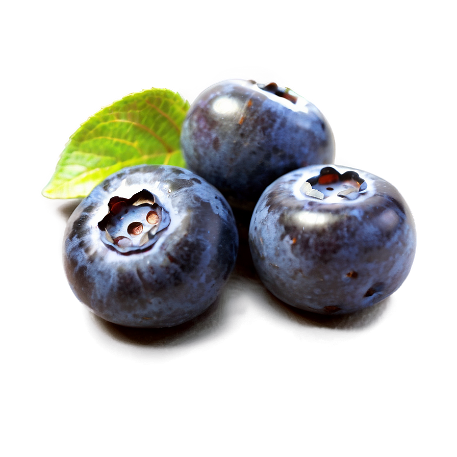 Sunlit Blueberry Png Iam29