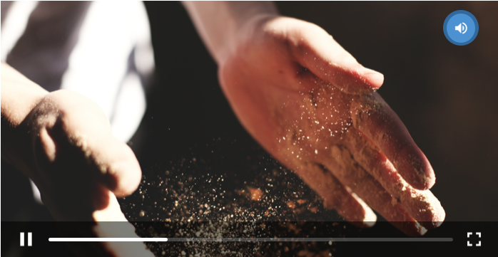 Sunlit Dust Particles Hand