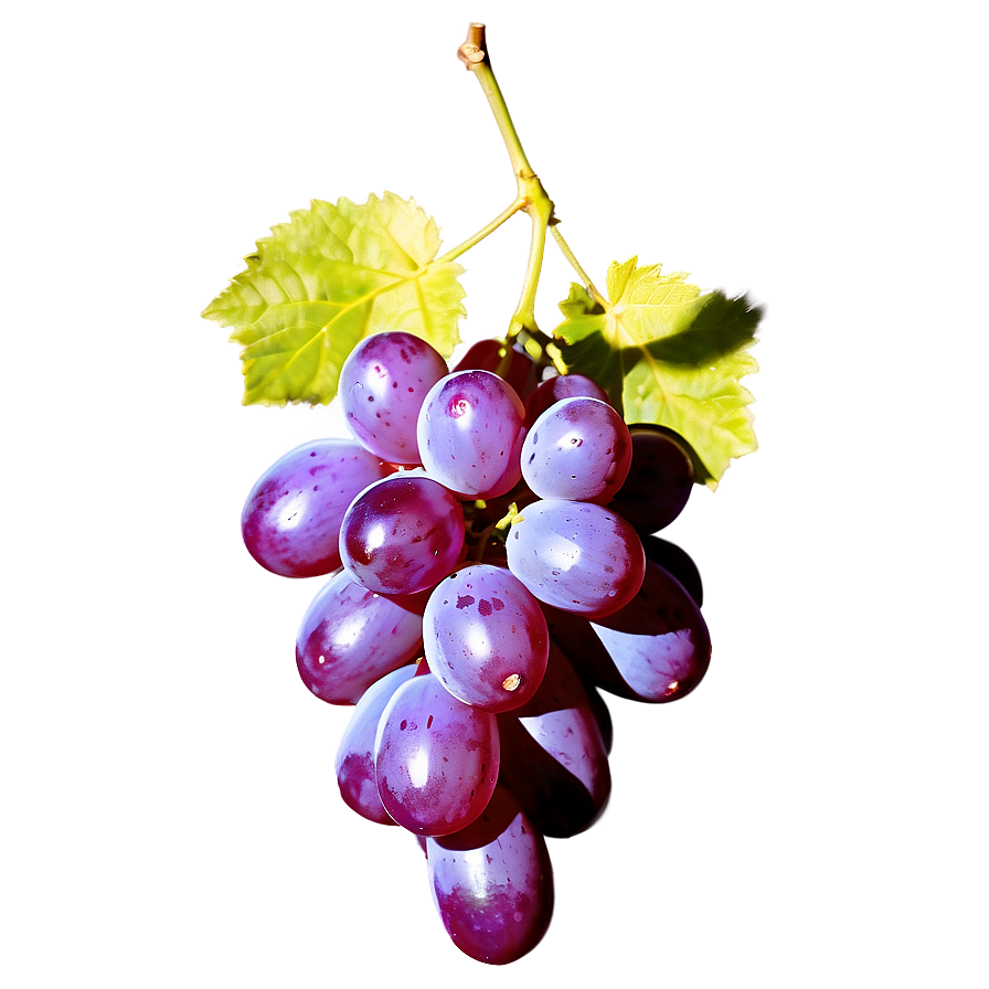 Sunlit Grape Image Png 06292024