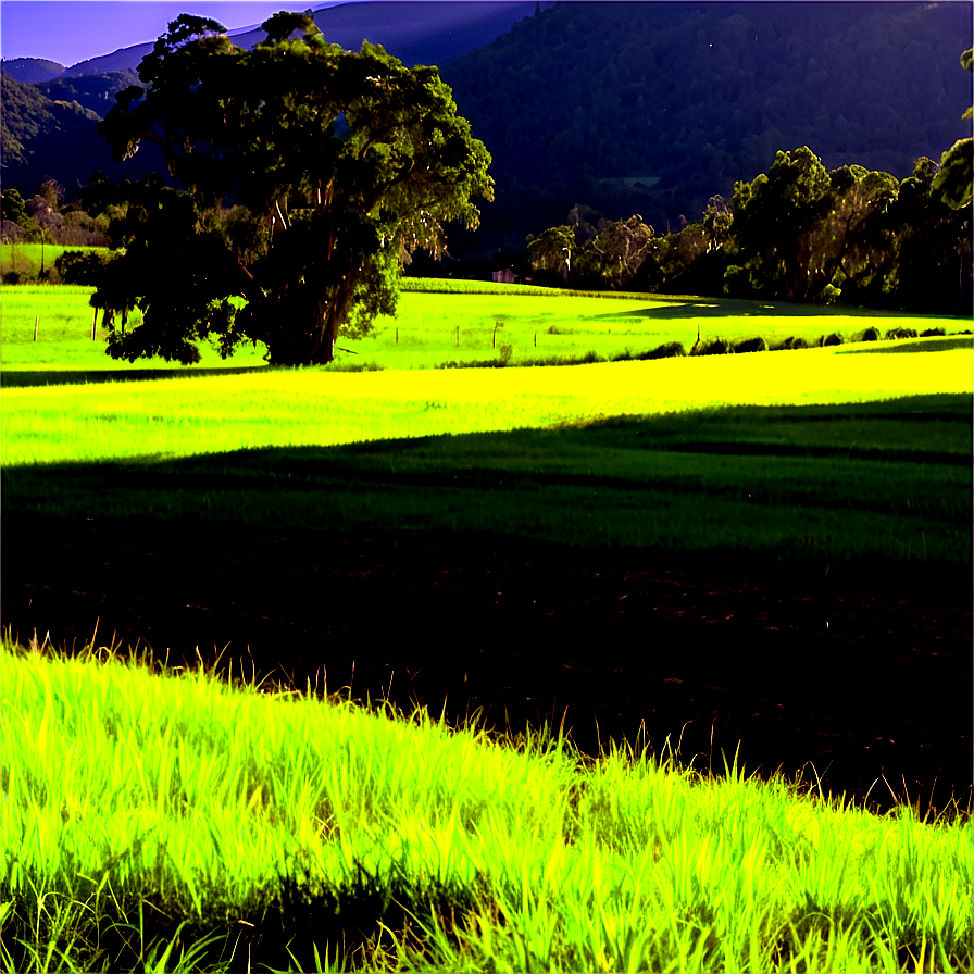 Sunny Countryside View Png Ito81