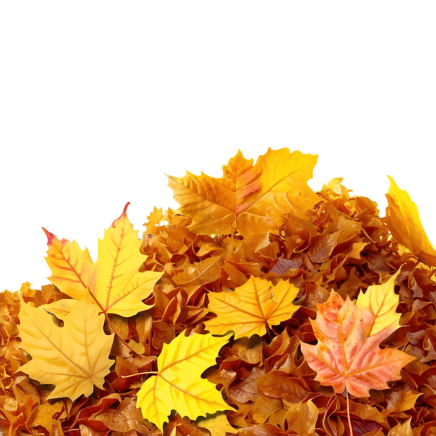 Sunny Day Leaf Pile Png Ovi