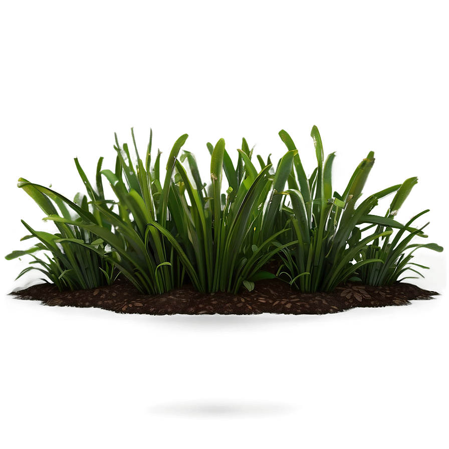 Sunny Grass Patch Png Ars