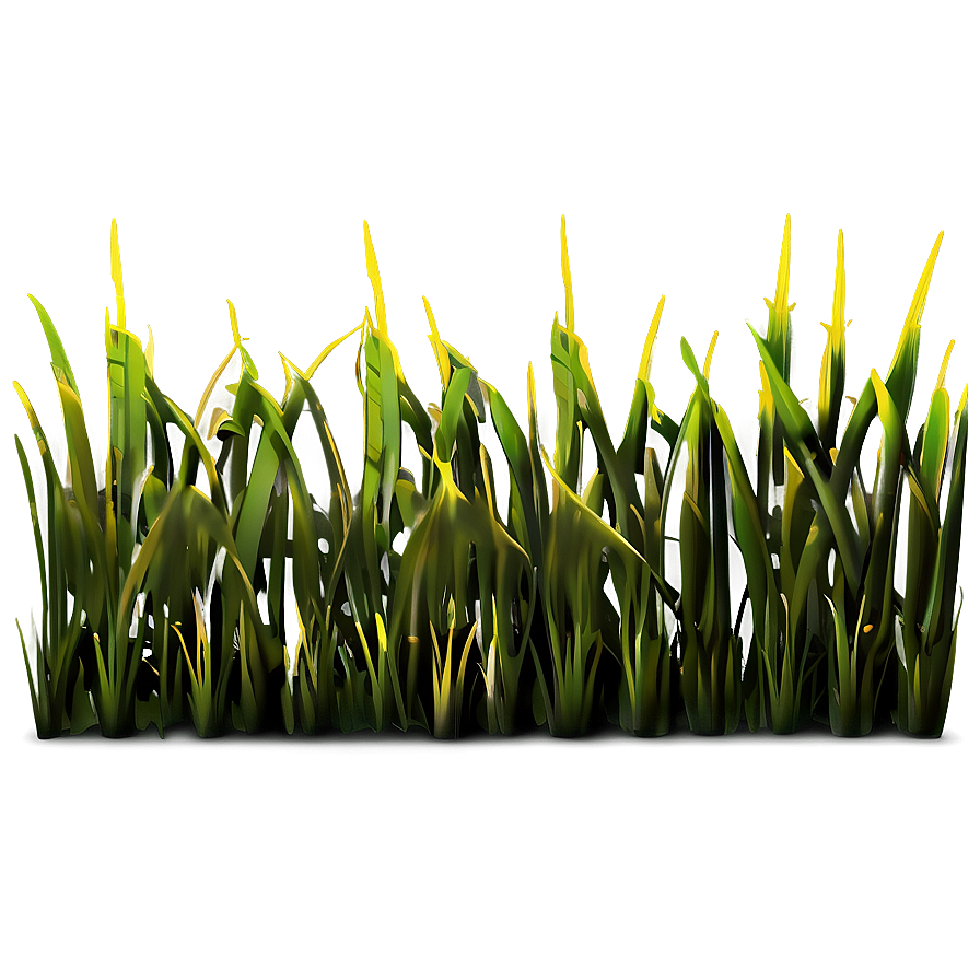 Sunny Grass Patch Png Nwl43