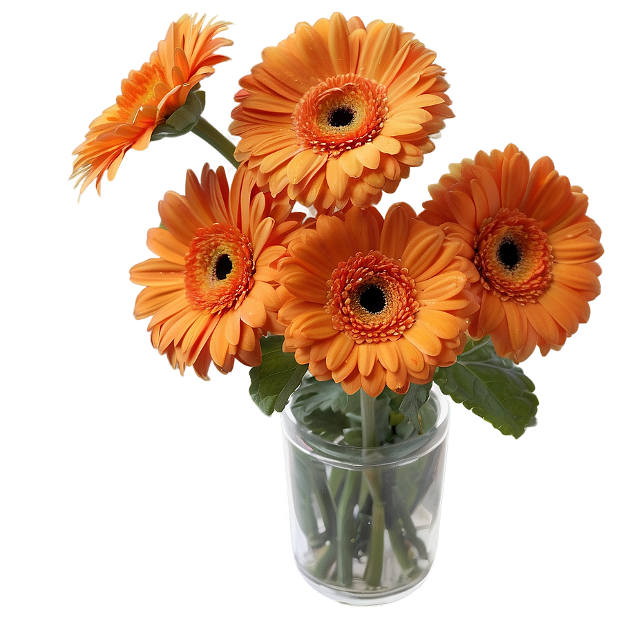 Sunny Orange Gerbera Png Hyu