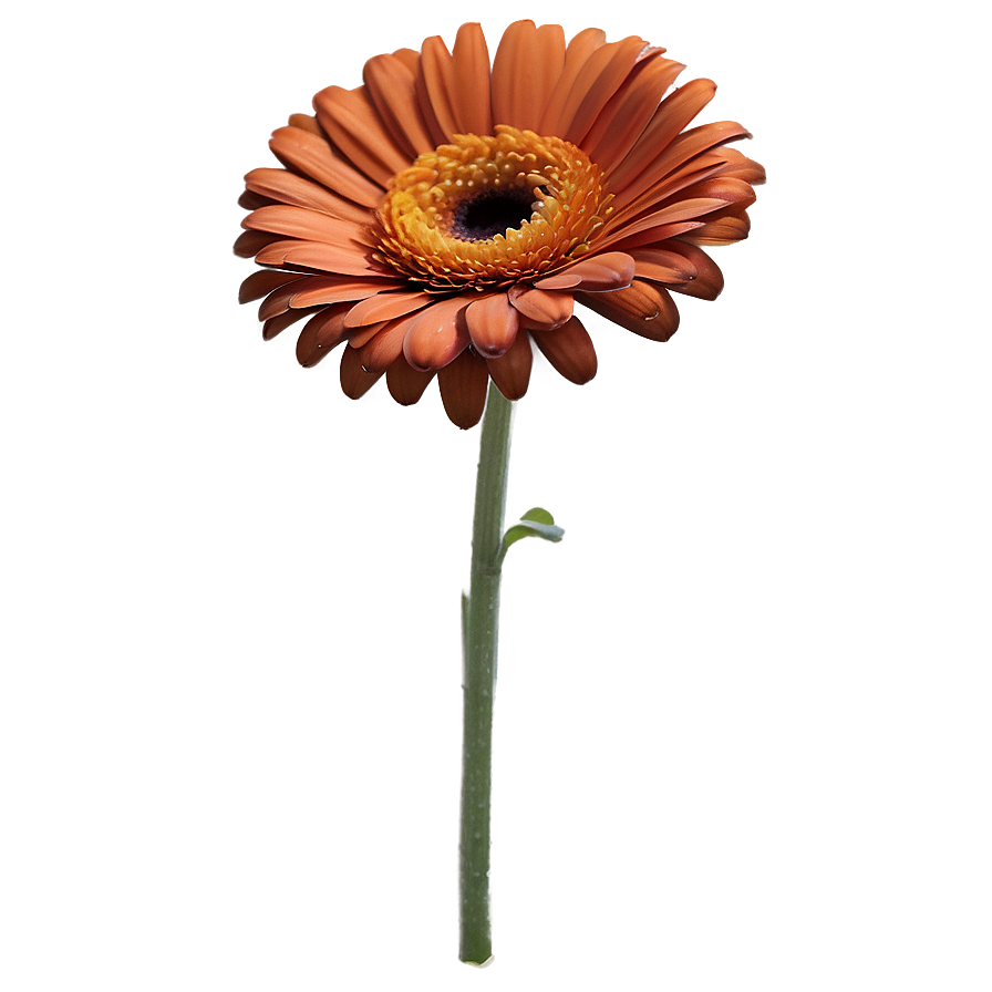 Sunny Orange Gerbera Png Vdv54