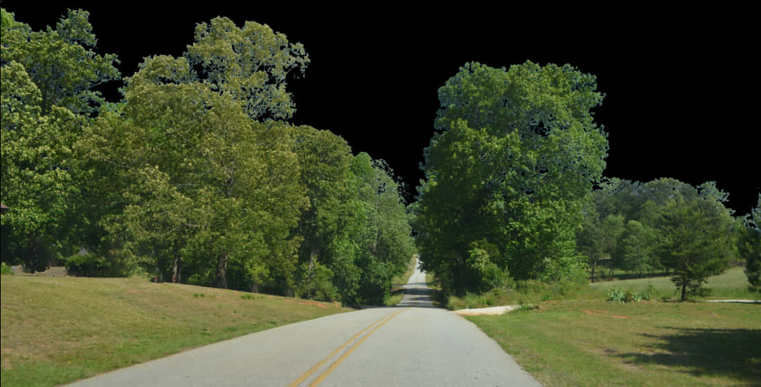 Sunny Road Through Green Forest