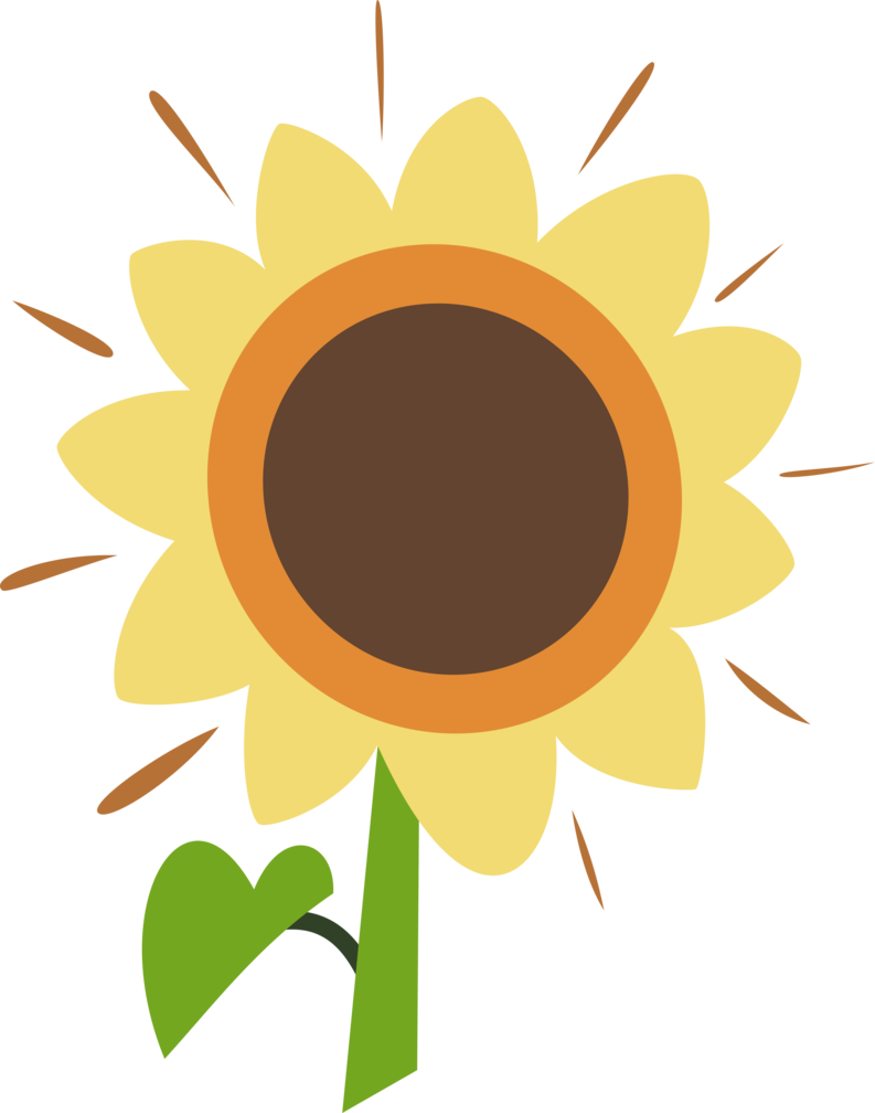 Sunny Sunflower Graphic