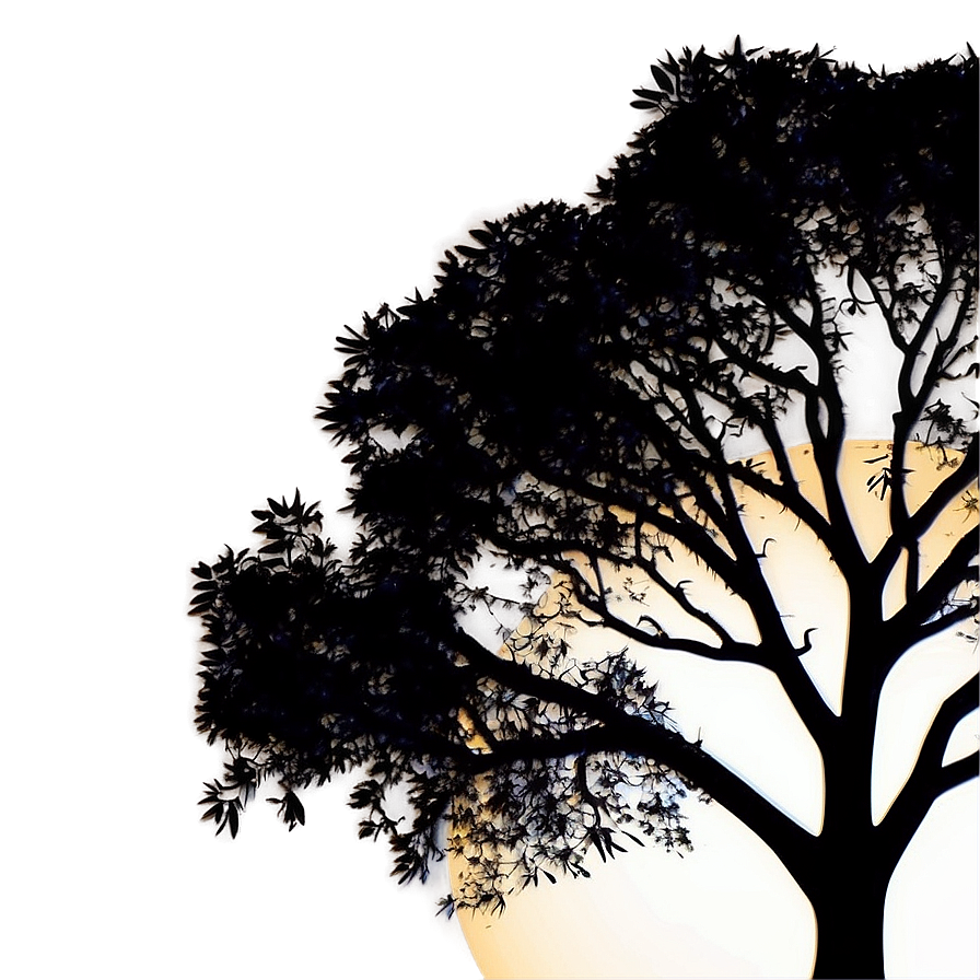 Sunrise Tree Silhouette Png Mck35