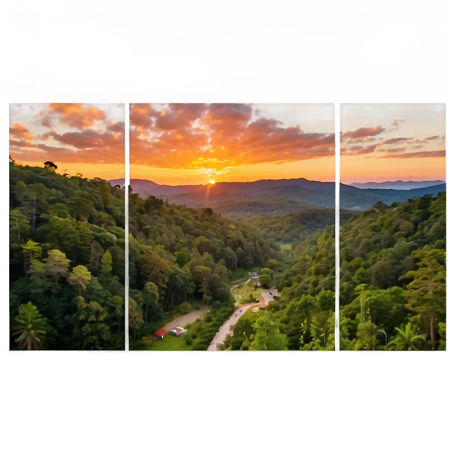 Sunset Over Woods Png Cws27