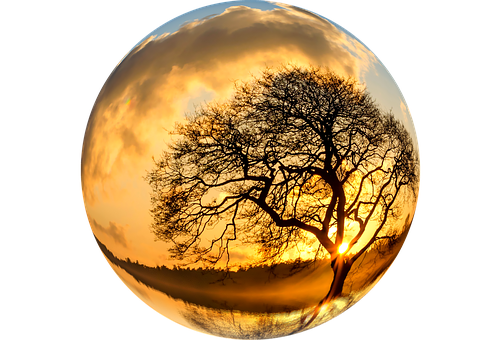 Sunset Tree Silhouette Crystal Ball