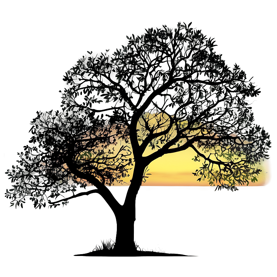 Sunset Tree Silhouette Png 91