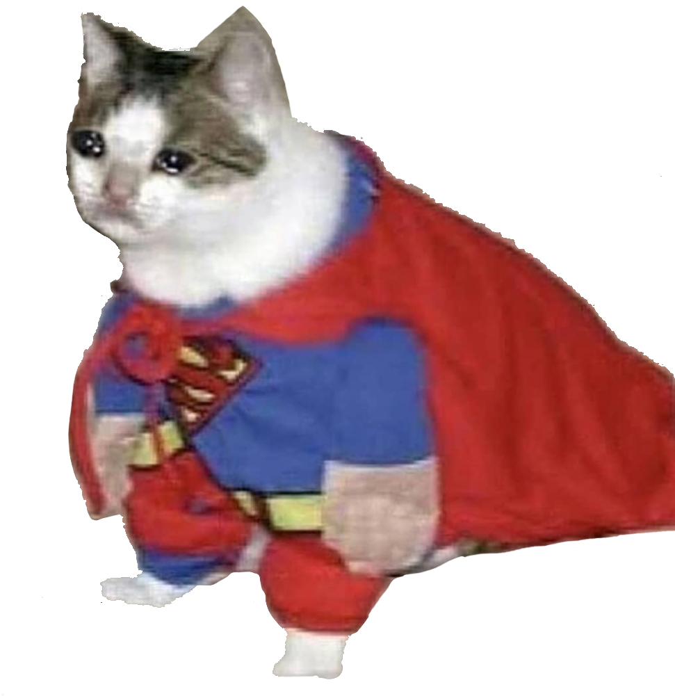 Super Cat_ Hero_ Meme.png