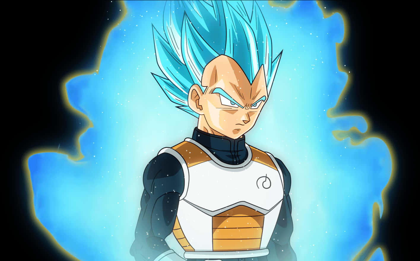 Super Saiyan Blue Vegeta Profile