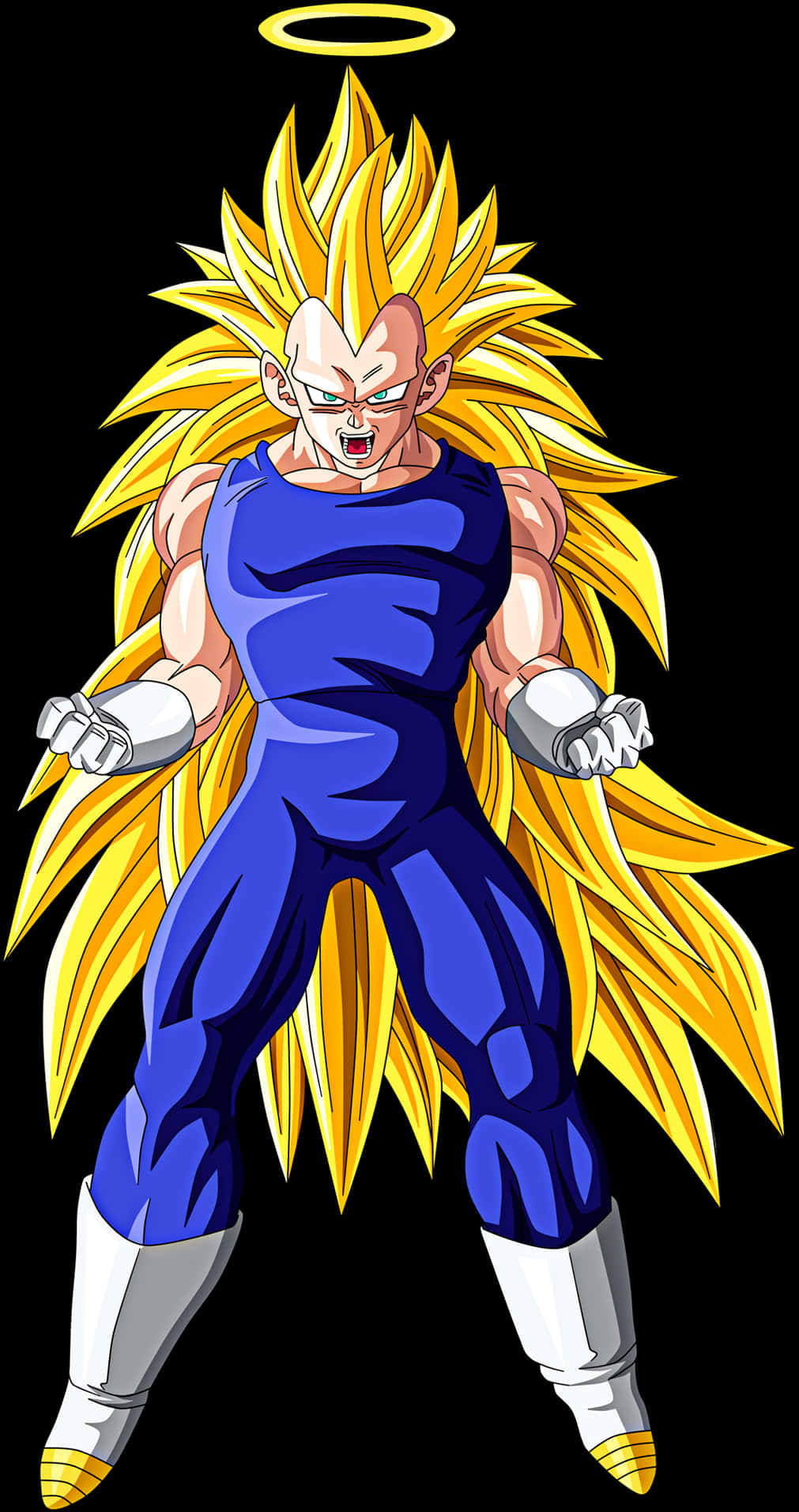 Super Saiyan3 Vegeta Illustration