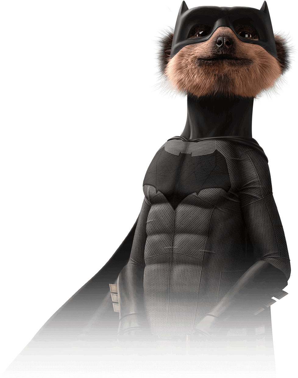 Superhero Meerkat Costume