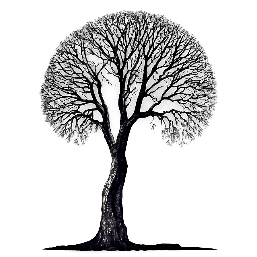 Surreal Black Trees Png 06292024