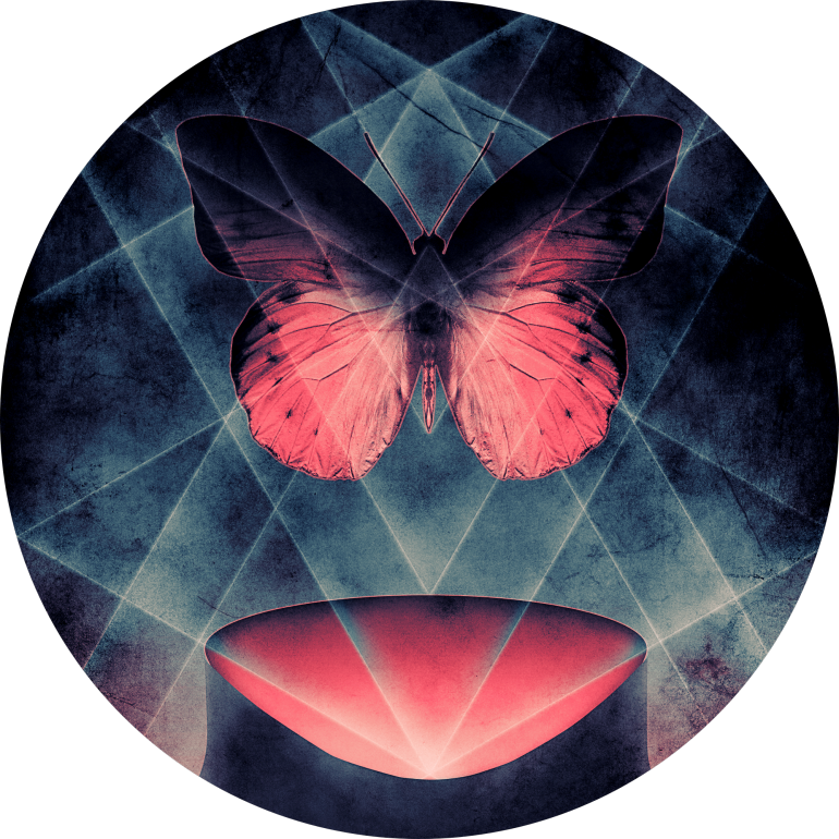 Surreal Butterfly Geometric Abstract