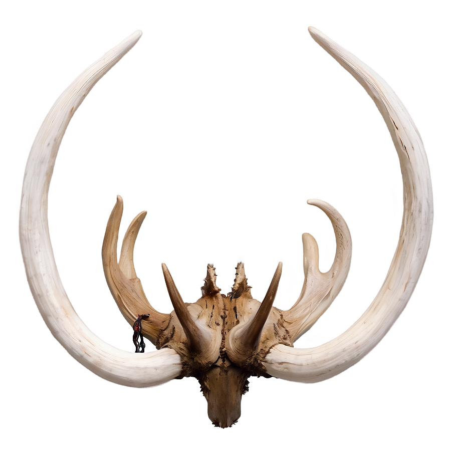 Surreal Deer Antler Creation Png Fin