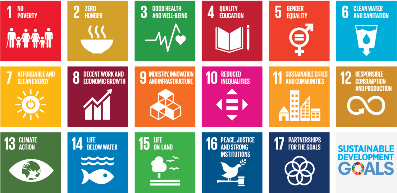 Sustainable Development Goals Icons