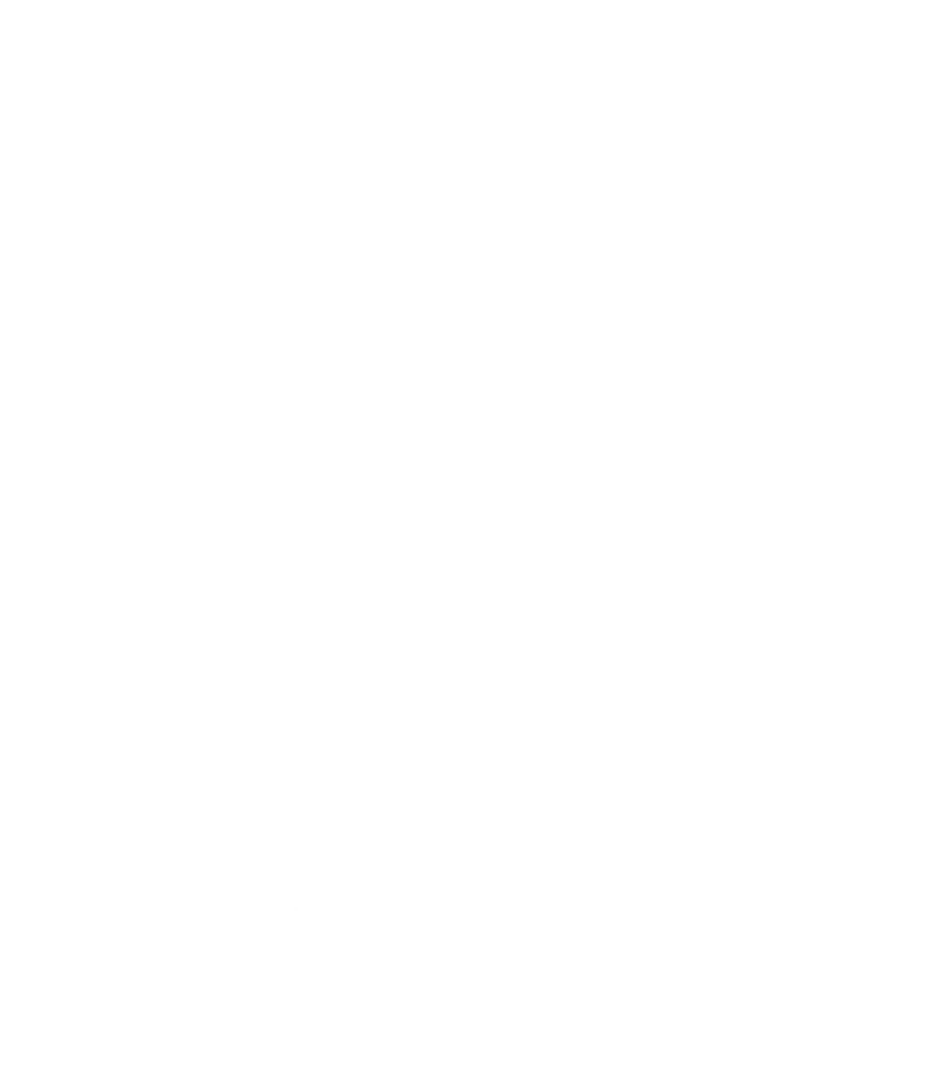 Suzuki Logo Brand Identity