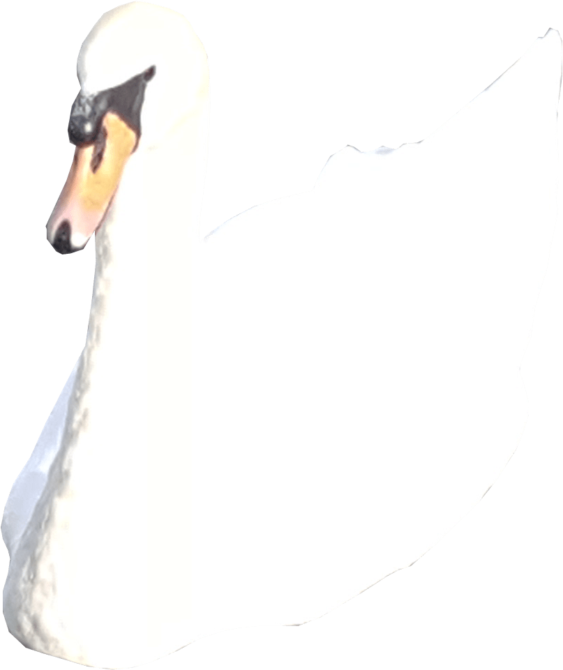 Swan With Dog Face.png