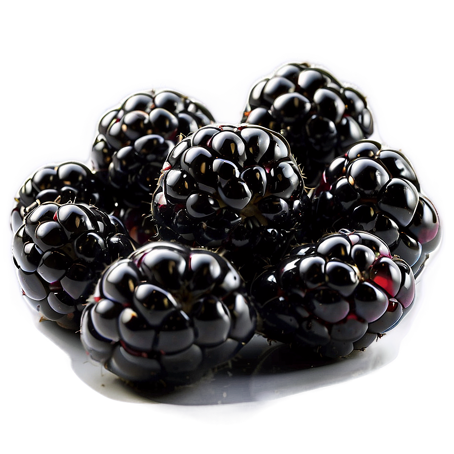 Sweet Blackberry Png 50