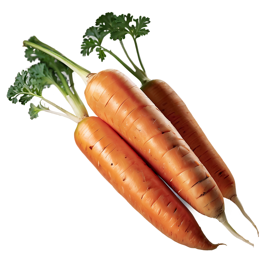 Sweet Carrot Png Ksv25