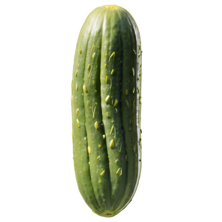 Sweet Dill Pickle Png Ytg