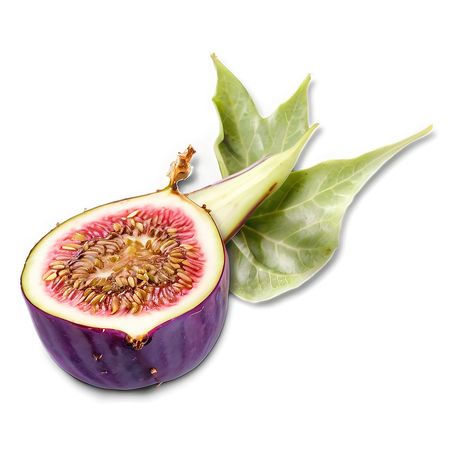 Sweet Fig Dessert Png 78