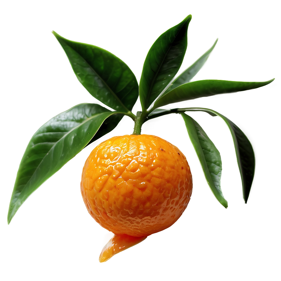 Sweet Mandarin Flavor Png 32