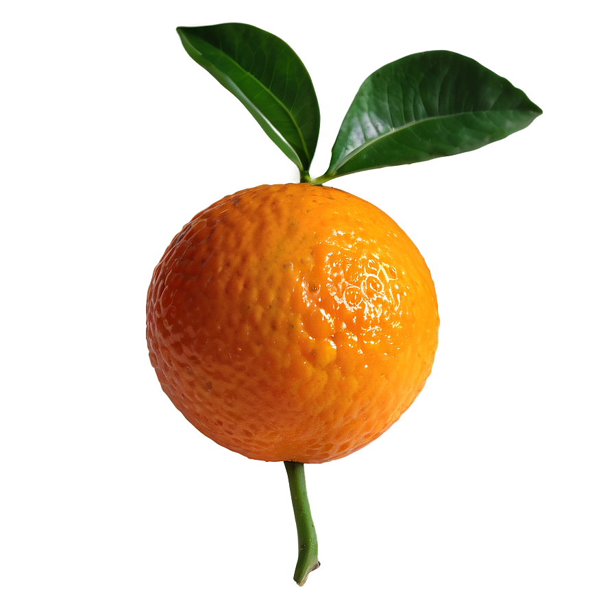 Sweet Mandarin Orange Png Njc