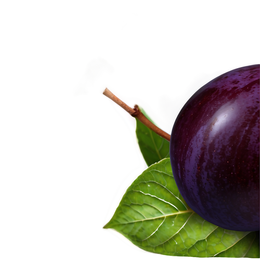 Sweet Plum Image Png 06122024