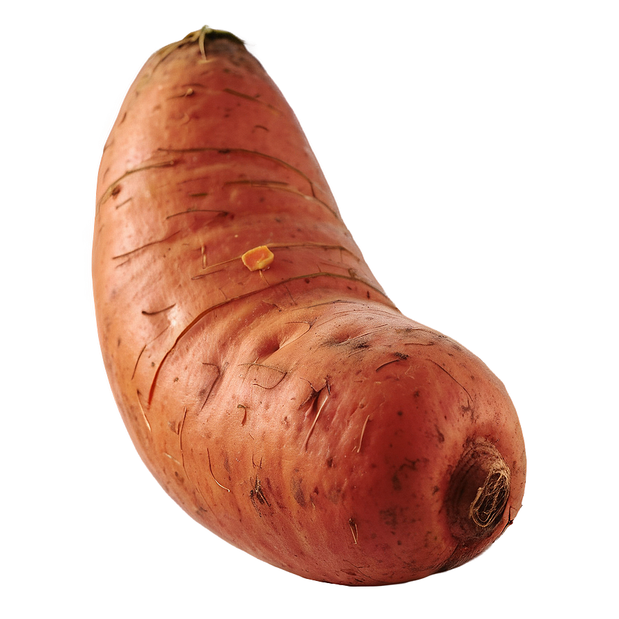 Sweet Potato D